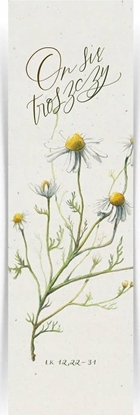 Picture of IF Zakadka dua - On si troszczy