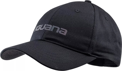 Picture of Iguana AYLEN W