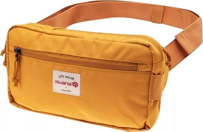 Attēls no Iguana Nerka EDGOS