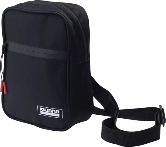 Picture of Iguana Saszetka ANDRES