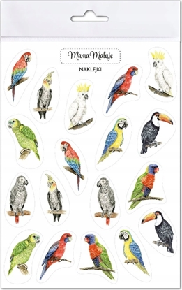 Изображение Incood Naklejki Papugi