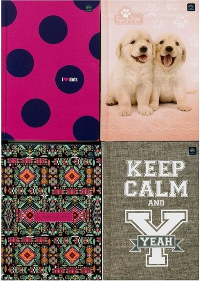 Picture of Interdruk Brulion A6/96K kratka (10szt)