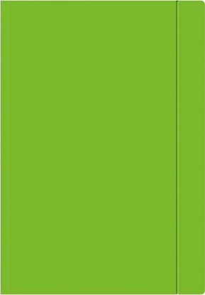 Изображение Interdruk TECZKA KARTONOWA Z GUMK A4+, ZIELONY