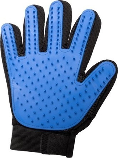 Picture of Interpet Publishing AC Grooming Glove