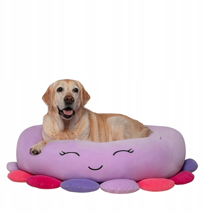 Изображение JAS PETS LEGOWISKO L 76CM OMIORNICA