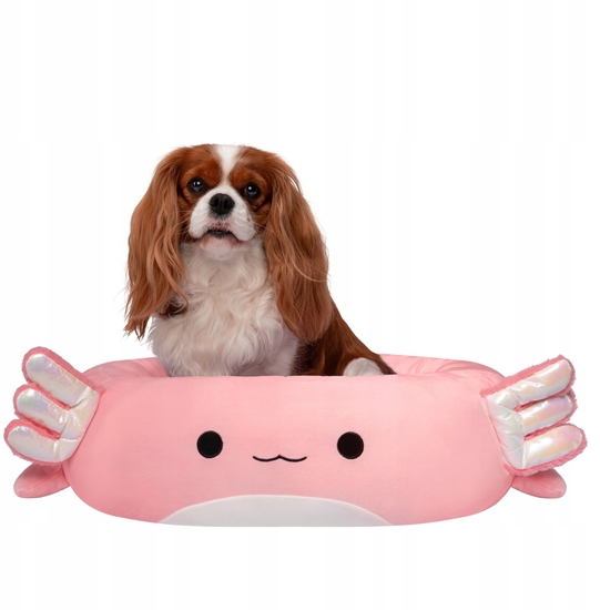 Picture of JAS PETS LEGOWISKO M 60CM AXOLOT