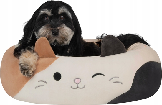 Picture of JAS PETS LEGOWISKO M 60CM KOT