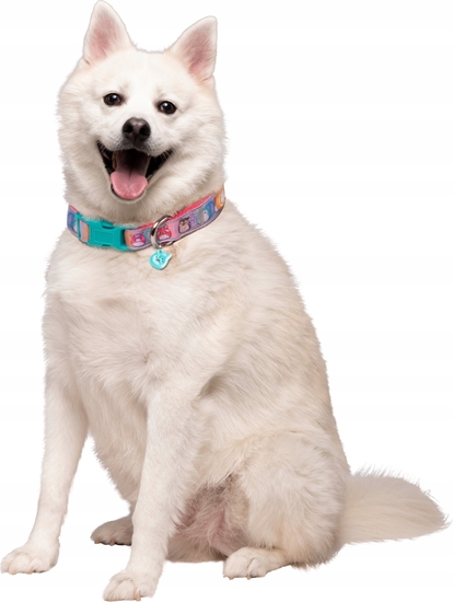 Picture of JAS PETS OBROA DLA PSA L