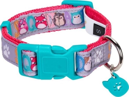 Picture of JAS PETS OBROA DLA PSA S