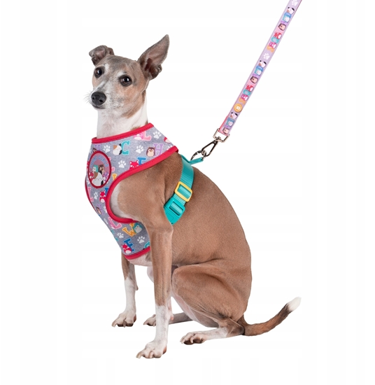 Picture of JAS PETS SZELKI DLA PSA L