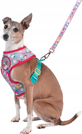 Picture of JAS PETS SZELKI DLA PSA S