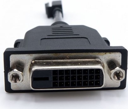 Изображение Kabel PNY PNY Zubehör: Kabelpeitsche mDP =>DVI-D (Single-Link) black