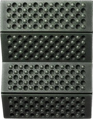 Picture of Karimata Martes PILGRIM