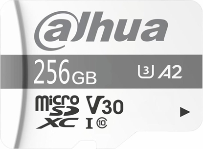 Attēls no Karta Dahua Technology TF-P100 MicroSDXC 256 GB Class 10 UHS-I U3 A1 V30 (TF-P100-256G)