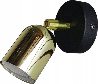 Picture of Kinkiet TKKRYWULT Tk Lighting Top 6030 kinkiet plafon lampa cienna sufitowa spot 1x10W GU10 czarny/zoty