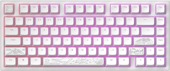 Изображение Klawiatura Dark Project ALU81A Terra Nostra G3Ms Moonstone (DPKB_NOSTRA_81_ANSI_WHITE)