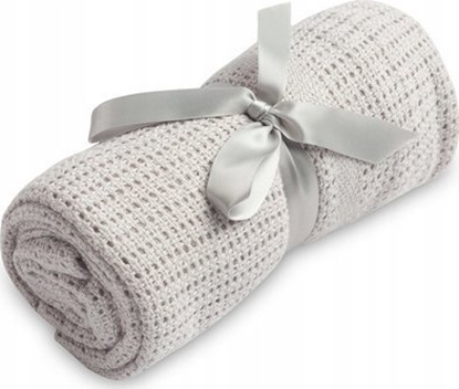 Picture of KOC AUROWY MOLI JASNY SZARY