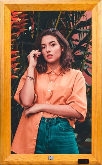 Picture of Kodak WF173V WiFi wooden brown