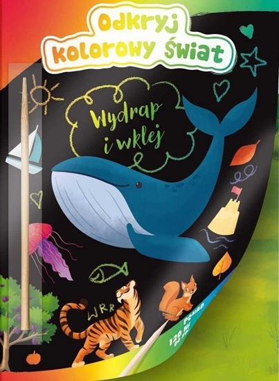 Picture of Kolorowanka odkryj kolorowy wiat