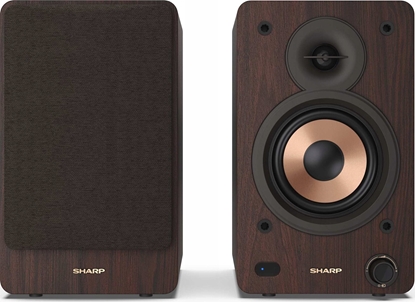 Picture of Kolumna Sharp Sharp CP-SS30 BT Hifi-Lautsprecher braun