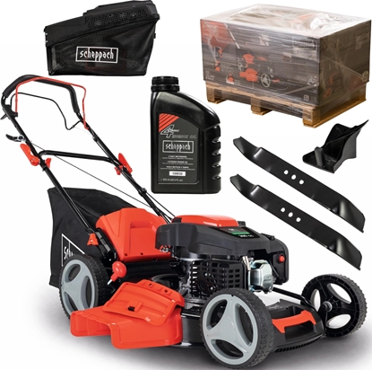 Изображение Kosiarka spalinowa Scheppach Kosiarka spalinowa Scheppach MS225-56 + olej + nó