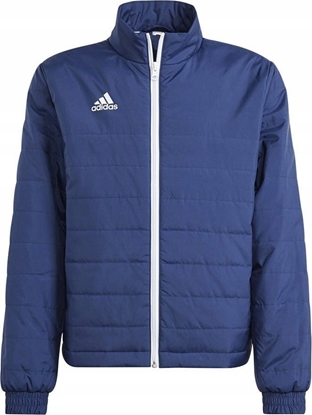 Picture of Kurtka mska Adidas Kurtka adidas ENTRADA 22 Light Jacket IB6072