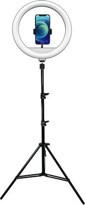 Picture of Lampa piercieniowa Powerton WPRL2W 13", LED biay