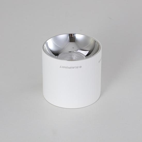 Picture of Lampa sufitowa Blaupunkt Blaupunkt Lampa LED natynkowa Spot Roller 10W biay barwa ciepa