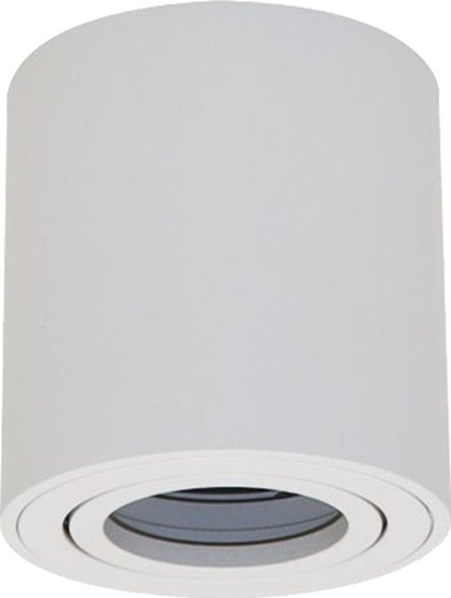 Picture of Lampa sufitowa ECOLIGHT2 Eco Light EC79956 plafon lampa sufitowa spot tuba 1x35W GU10 biay