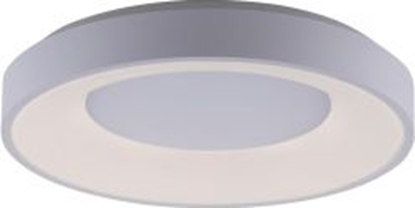 Picture of Lampa sufitowa Paul Neuhaus Lampa sufitowa ANIKA 14326-16