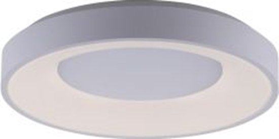 Picture of Lampa sufitowa Paul Neuhaus Lampa sufitowa ANIKA 14326-16