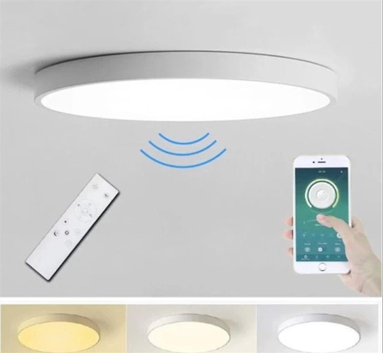 Picture of Lampa sufitowa Tope CEILING LAMP BOSTON2X60W D80RC LED WHITE