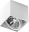 Picture of Lampa sufitowa Torino Alex 1x50W  (GM4112)