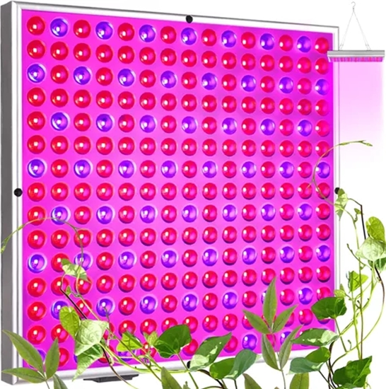 Picture of Lampa wiszca Gardlov Lampa/ panel 225 LED do wzrostu uprawy rol. 23525