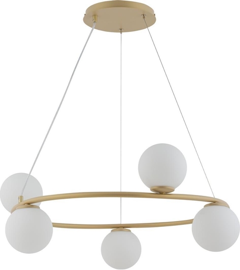 Изображение Lampa wiszca Sigma Lampa modernistyczna GAMA KOO 5-punktowa zoty