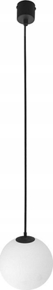 Изображение Lampa wiszca TKKRYWULT Tk Lighting Martin 4910 lampa wiszca zwis ball kula szklany klosz 1x6W G9 czarna/biaa