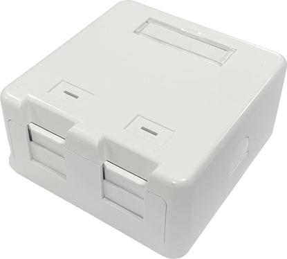 Изображение Lanview Surface mount box for 2 x
