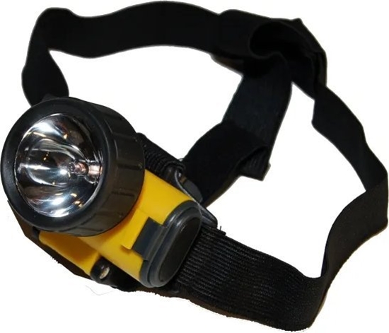 Picture of Latarka Usorteret Pandelampe