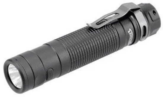 Picture of Latarka Walther EFC2