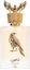 Attēls no Lattafa Pride Shaheen Gold Perfume EDP 100ml