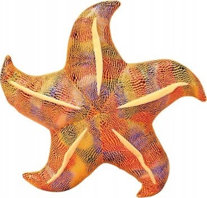 Picture of LeanToys Maskotka Pluszowa Rozgwiazda óta Poduszka 20 cm