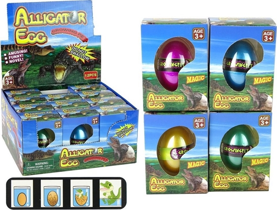 Picture of LeanToys Rosnce Jajo Aligatora Krokodyla 6cm