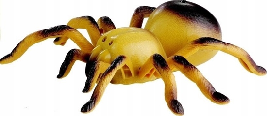 Picture of LeanToys Zdalnie Sterowany Pajk Tarantula Pilot R/C óty