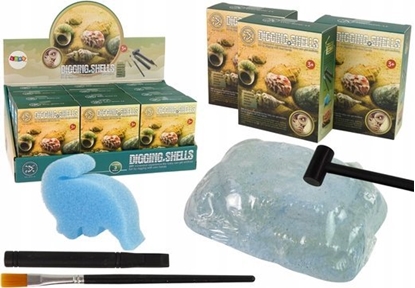 Picture of LeanToys Zestaw archeologiczny wykopaliska skorupy