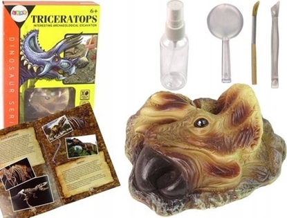 Picture of LeanToys Zestaw Edukacyjny Wykopaliska Dinozaur Triceratops