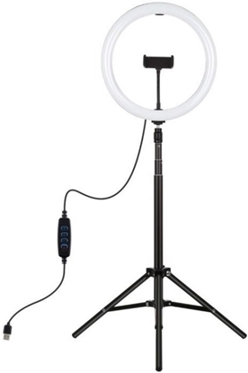 Picture of LED iedin lempa 30cm su trikoju stovu iki 1.65m ir telefono laikikliu, USB