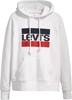 Picture of Levi`s Levi's Graphic Standard Hoodie 184870058 biae XS
