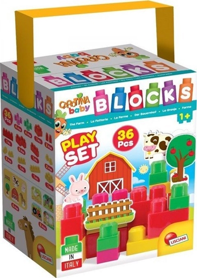 Picture of Lisciani CAROTINA CONSTRUCTION BRICKS C