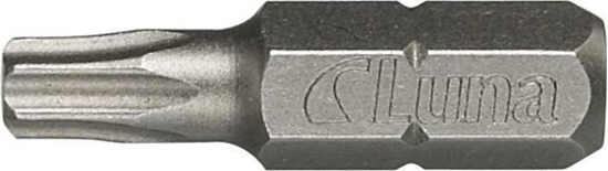 Picture of Luna Groty Torx TX25 10 szt. Luna