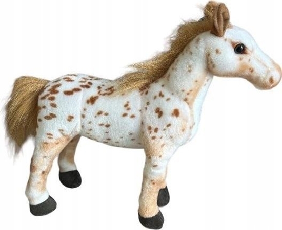 Picture of Macyszyn Toys Ko tarantowaty 35cm